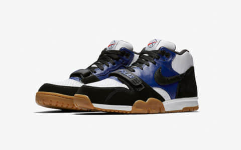 Polar Skate Co x Nike SB Air Trainer 1 货号： CI6892-001