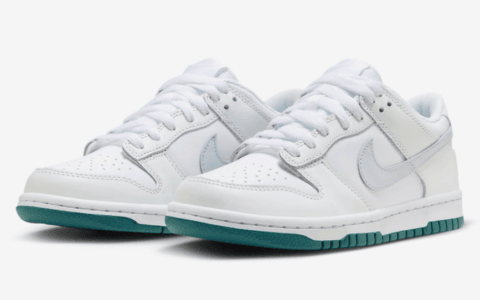 小清新配色！全新Nike Dunk Low官图曝光！ 货号：FD9911-101